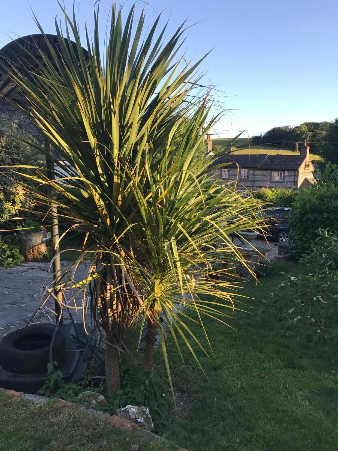 Fern Cottage Dorchester Exterior foto